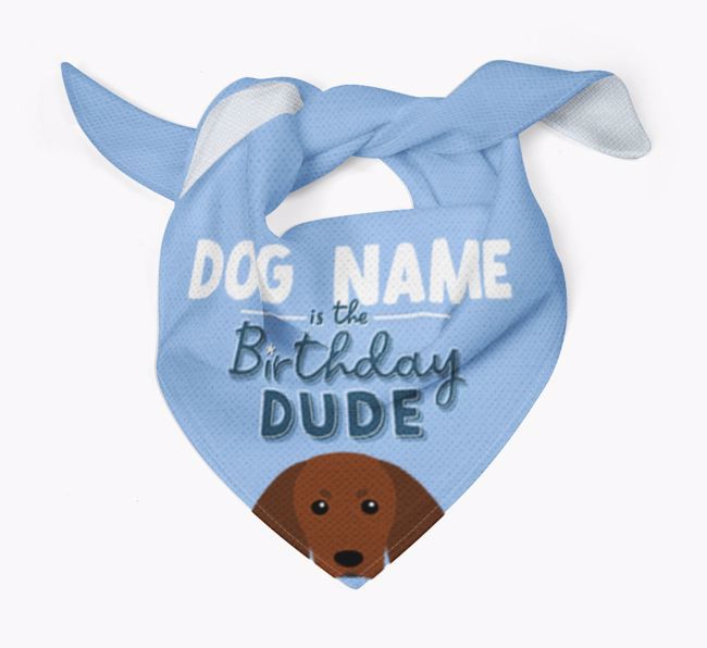 Birthday Dude: Personalised {breedFullName} Bandana